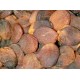 Organic Dried Apricots Turkish-1lb